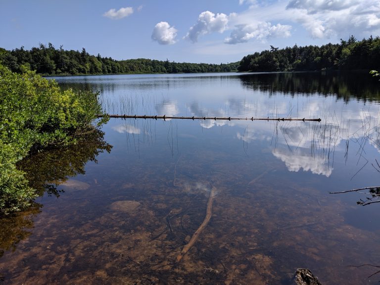 photo of a lake
